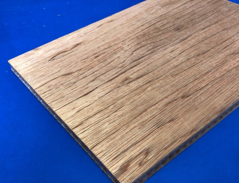 Plastic honeycomb laminated sandwich panels for cleanroom contractors-881